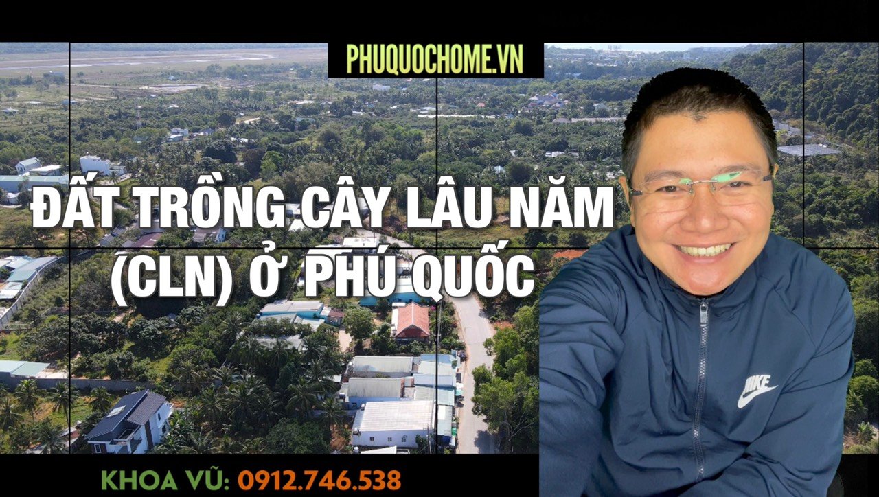Đất trồng cây lâu năm (CLN) ở Phú Quốc